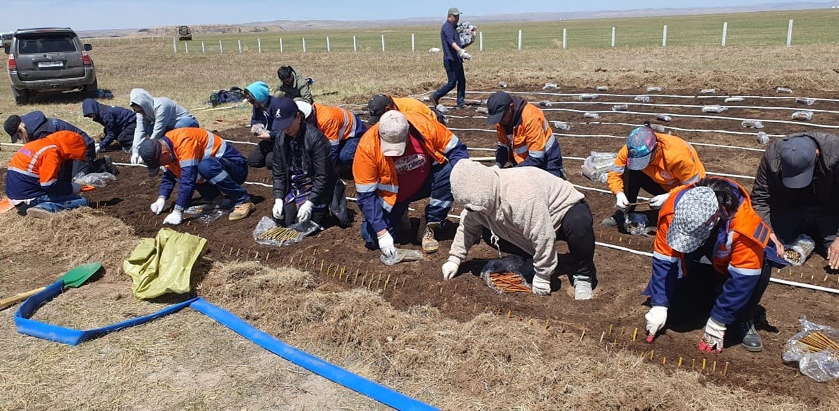 Нөхөн сэргээлт, хог хаягдлын менежмент